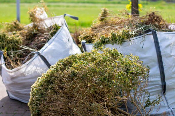Best Dumpster Rental Services  in Pine Ridge, SC